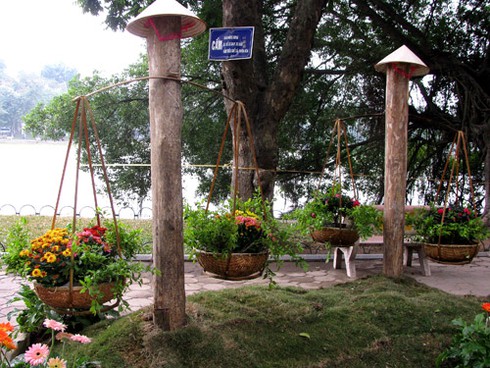 Náo nức chiêm ngưỡng Phố-Hoa Hà Nội