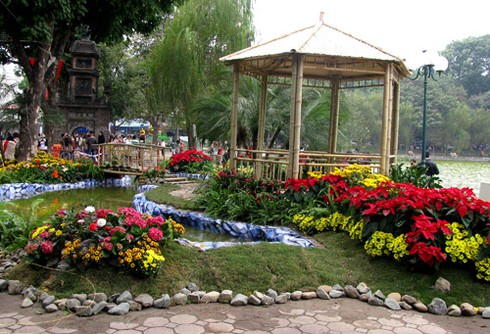 Náo nức chiêm ngưỡng Phố-Hoa Hà Nội