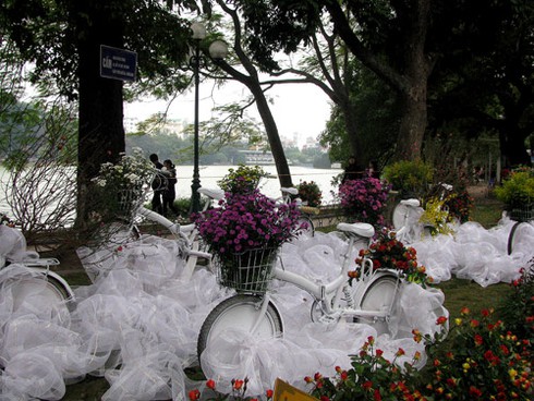 Náo nức chiêm ngưỡng Phố-Hoa Hà Nội