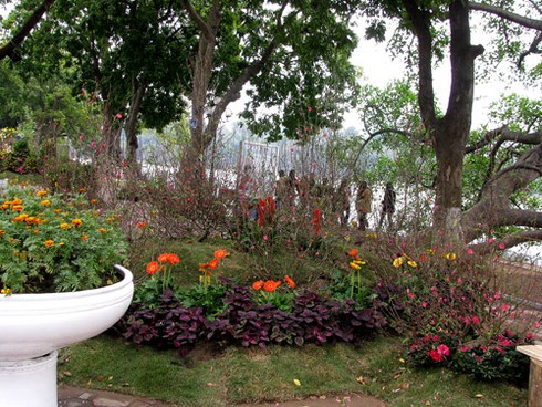 Náo nức chiêm ngưỡng Phố-Hoa Hà Nội