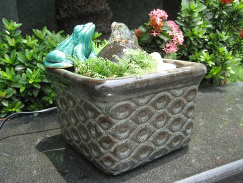 Đầu năm, rước `róc rách` về nhà