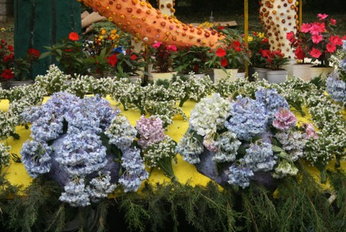 Chưa khai mạc Festival, hoa đã… héo