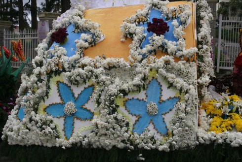 Chưa khai mạc Festival, hoa đã… héo