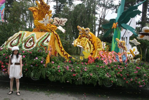 Chưa khai mạc Festival, hoa đã… héo