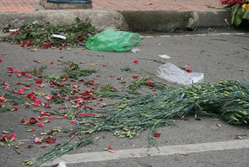 Chưa khai mạc Festival, hoa đã… héo