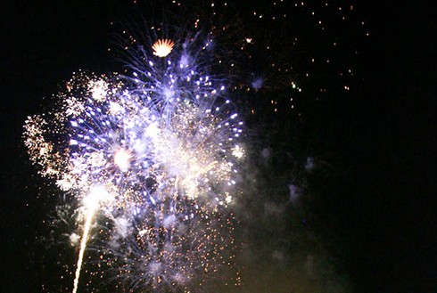 TP.HCM: Người dân háo hức chào đón năm mới 2012