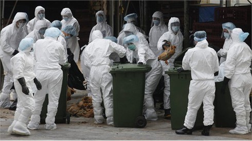 Trung Quốc: Một bệnh nhân tử vong vì nhiễm H5N1