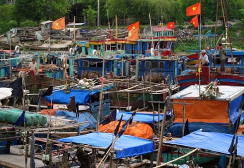 Tiền Giang: Thí điểm Nghiệp đoàn khai thác hải sản