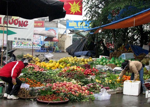 Hoa quả giá rẻ tràn ngập Hà Nội