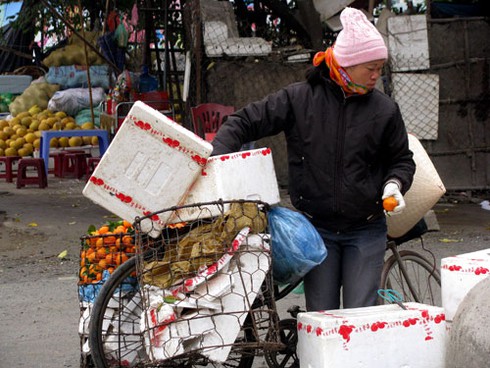 Hoa quả giá rẻ tràn ngập Hà Nội