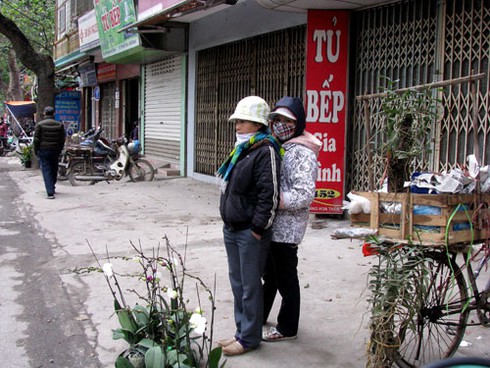 Đìu hiu chợ cây cảnh giáp Tết