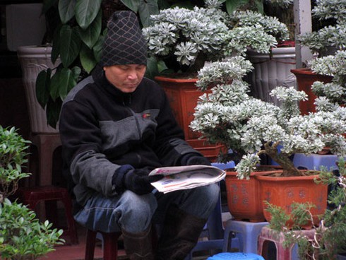 Đìu hiu chợ cây cảnh giáp Tết