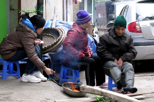 Đìu hiu chợ cây cảnh giáp Tết