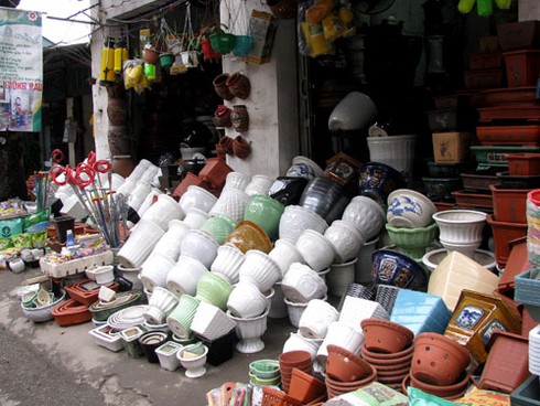 Đìu hiu chợ cây cảnh giáp Tết