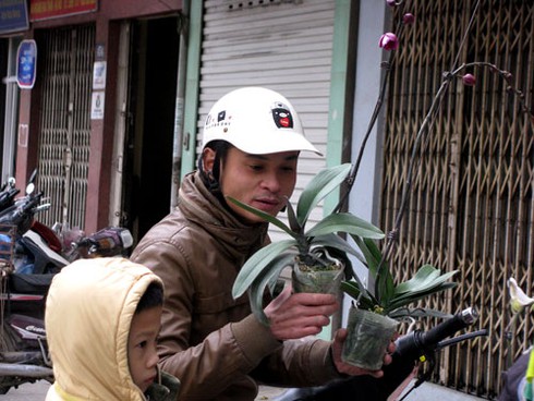 Đìu hiu chợ cây cảnh giáp Tết