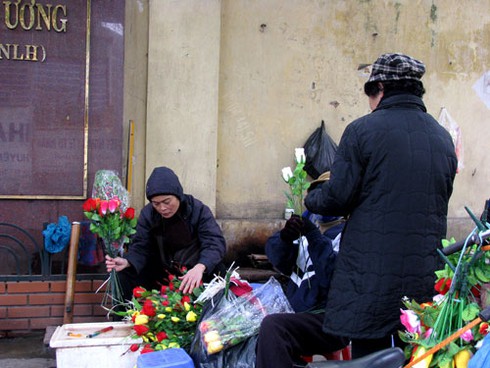 Đìu hiu chợ cây cảnh giáp Tết