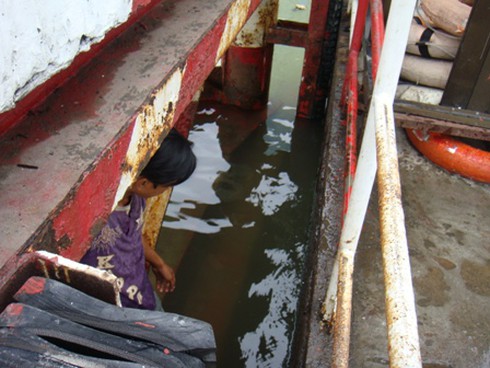 Sinh nhai bằng nghề `săn` cá phóng sinh