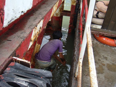 Sinh nhai bằng nghề `săn` cá phóng sinh