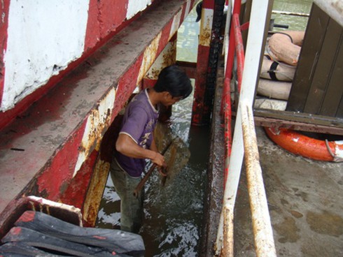 Sinh nhai bằng nghề `săn` cá phóng sinh