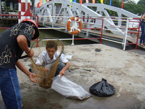 Sinh nhai bằng nghề `săn` cá phóng sinh