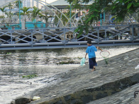 Sinh nhai bằng nghề `săn` cá phóng sinh