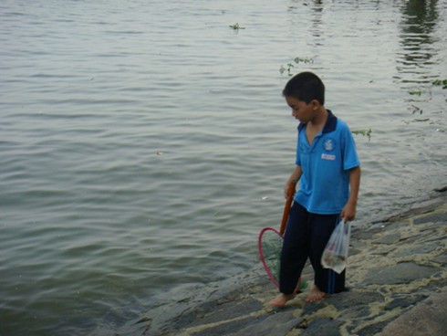 Sinh nhai bằng nghề `săn` cá phóng sinh