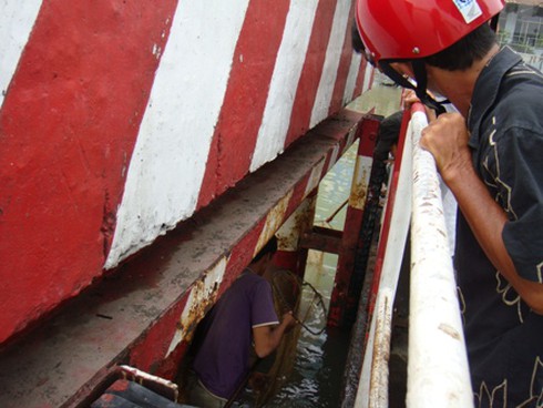 Sinh nhai bằng nghề `săn` cá phóng sinh