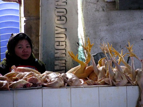 Giáp Tết, gà không rõ nguồn gốc tràn chợ