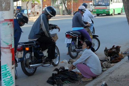 Bùng phát buôn bán gia cầm sống ven đường