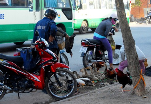 Bùng phát buôn bán gia cầm sống ven đường