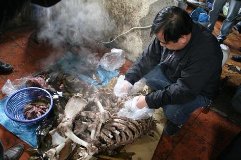Hà Nội: Bắt quả tang một nhà hàng nấu cao hổ cốt