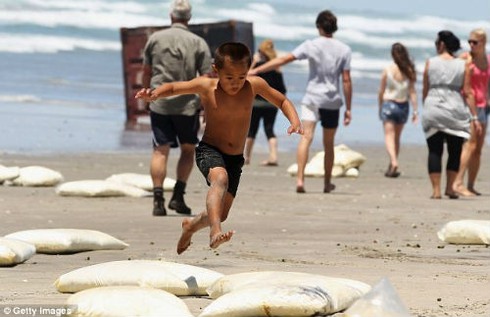 New Zealand: Sóng lớn đánh vỡ tan tàu chở dầu
