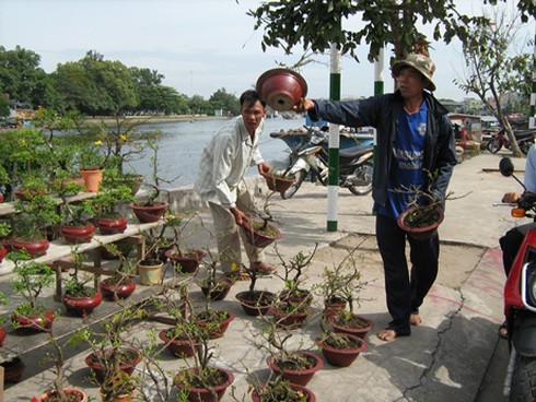 TP.HCM: Khởi động chợ hoa Tết Cầu Hàn