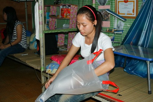 Tết này con không về!