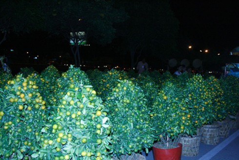 TP.HCM: Mở hội xuân chào đón đường hầm sông Sài Gòn