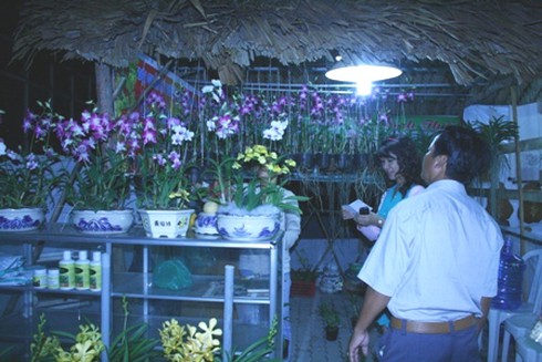 TP.HCM: Mở hội xuân chào đón đường hầm sông Sài Gòn