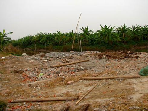 Thủ tướng chỉ đạo về vụ việc cưỡng chế thu hồi đất ở Hải Phòng