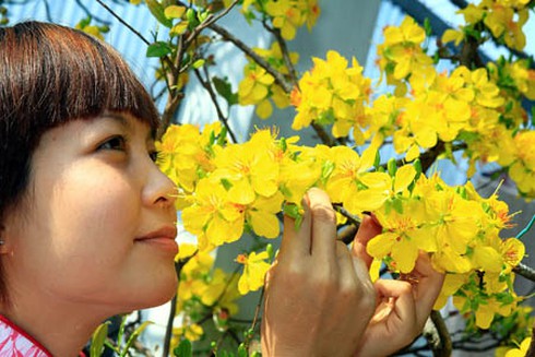 Đón Tết cổ truyền dài ngày làm lỡ nhiều cơ hội?