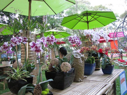 Hội hoa xuân Nhâm Thìn: Trăm hoa đua sắc!