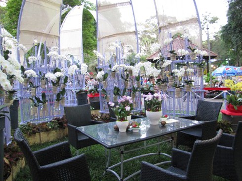 Hội hoa xuân Nhâm Thìn: Trăm hoa đua sắc!