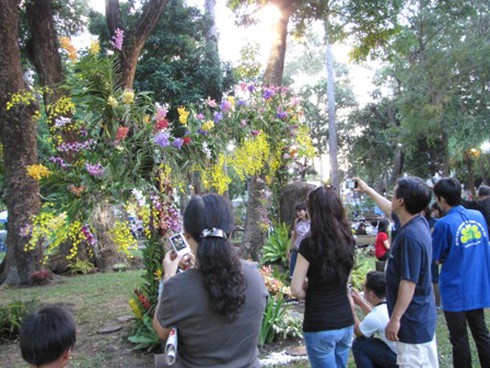 Hội hoa xuân Nhâm Thìn: Trăm hoa đua sắc!