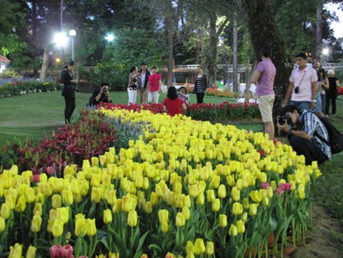 Hội hoa xuân Nhâm Thìn: Trăm hoa đua sắc!