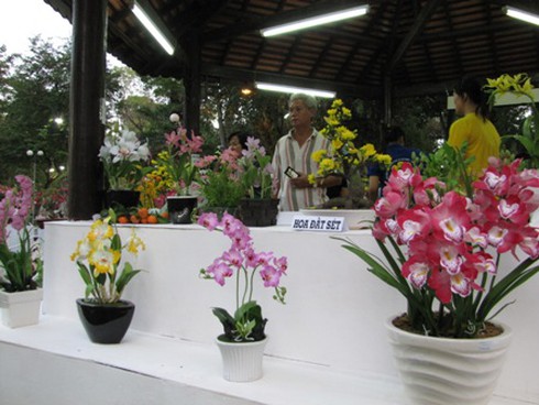 Hội hoa xuân Nhâm Thìn: Trăm hoa đua sắc!