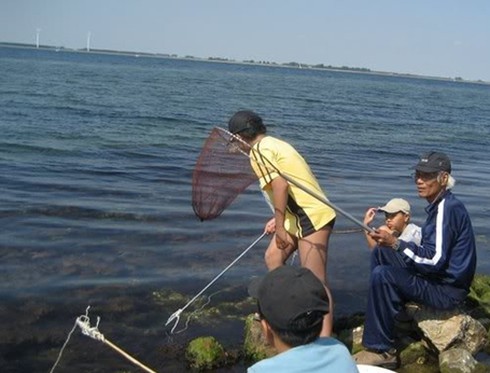 Câu cua biển, thú vui thời thượng!