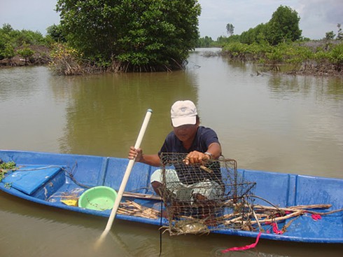 Câu cua biển, thú vui thời thượng!