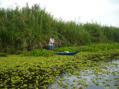 Câu cua biển, thú vui thời thượng!