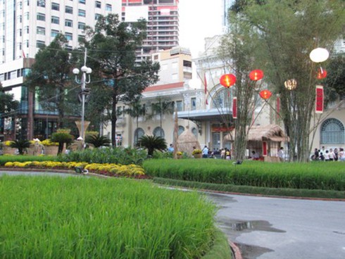 TP.HCM: Đường hoa, đường sách hướng về biển đảo