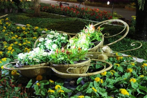 Đường hoa Nguyễn Huệ khoe sắc trong đêm