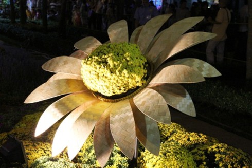 Đường hoa Nguyễn Huệ khoe sắc trong đêm