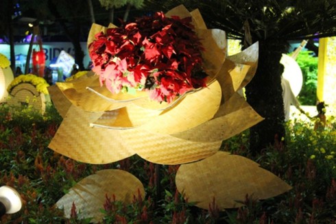 Đường hoa Nguyễn Huệ khoe sắc trong đêm